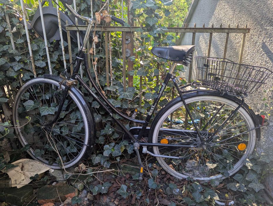 rower holenderski Puch