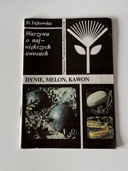 Warzywa o największych owocach dynie Melon Kawon