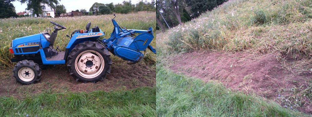 Usługi ogrodnicze - Przycinanie drzew/Opryski owadobójcze i inne