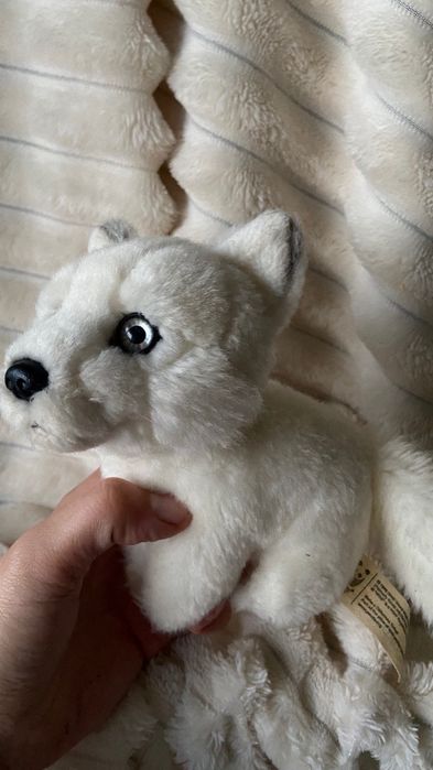 Реалістичні м'які іграшки