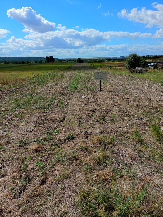 Działka budowlana warunki zabudowy - Widok 4