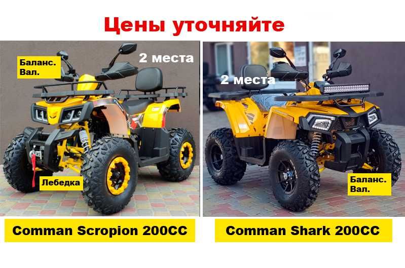 Новый квадроцикл Comman Scorpion 200cc 2023 года (Камо)  (Мотосалон) !