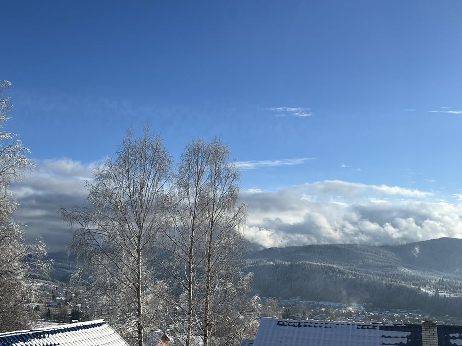 Сімейний Котедж Краєвид Микуличин!