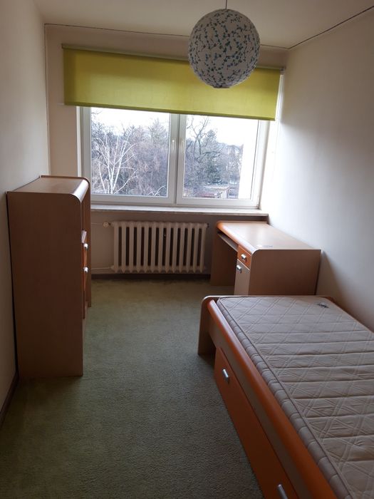 Mieszkanie w centrum do wynajęcia