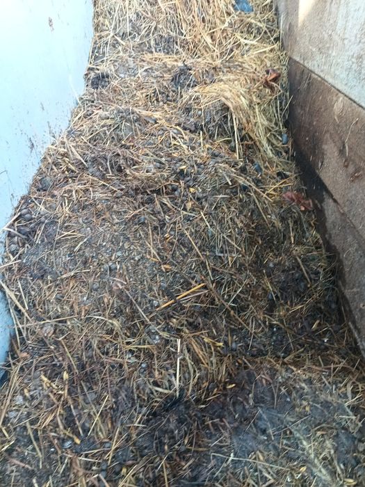 Obornik nawóz gnój króliczy