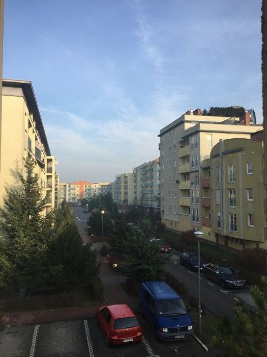 Mieszkanie – Poznań - Widok 5
