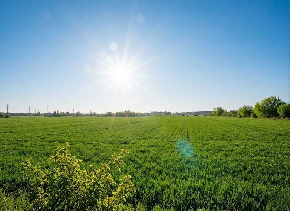 Продаж земельної ділянки 10 соток - ОСГ. Біля лісу. с.Оліївка. ID:747