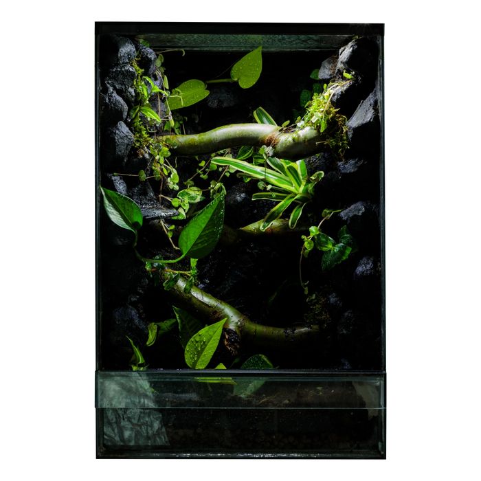 Terrarium tropikalne 40x40x60