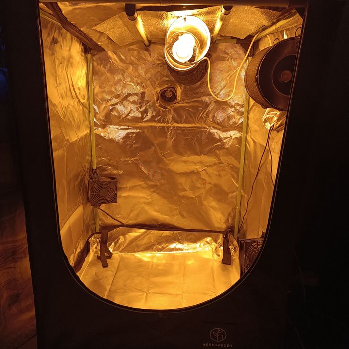 Growbox herbgarden zestaw gotowy do uprawy