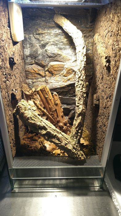 Terrarium 40x25x25