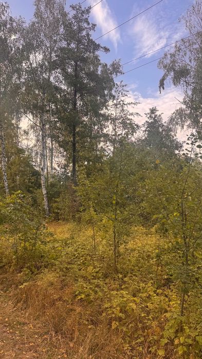 Продам земельну  ділянку 67 соток землі Калинівка
