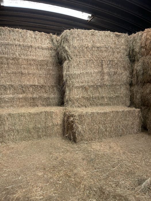 Fardos de feno e palha