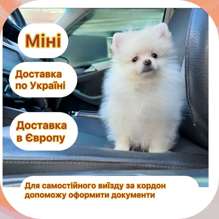 !!Ексклюзив!Чекає тільки на тебе ! Готова до виїзду за кордон!