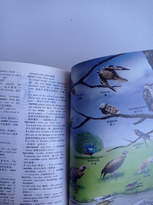 English - Chinese dictionary