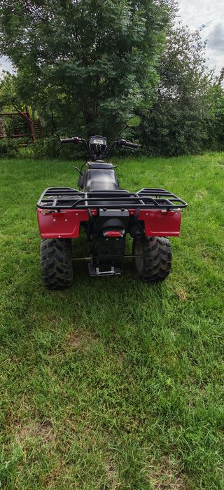 Quad 250 Shenke 2010