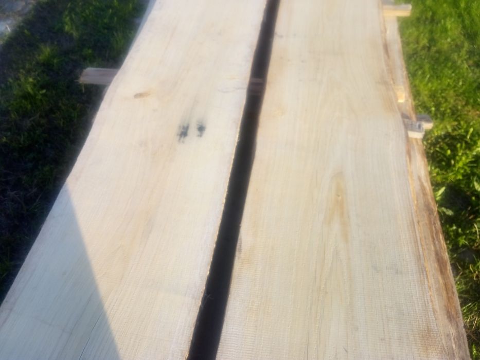 Foszty dębowe świeże ciente