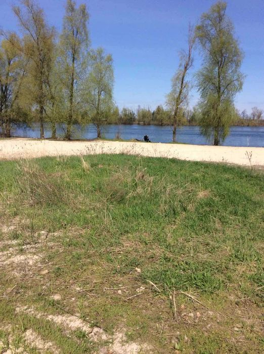 Ділянка 48сот. або частинами(24+24)крайня від Десни с.Пуховка ст.Вега