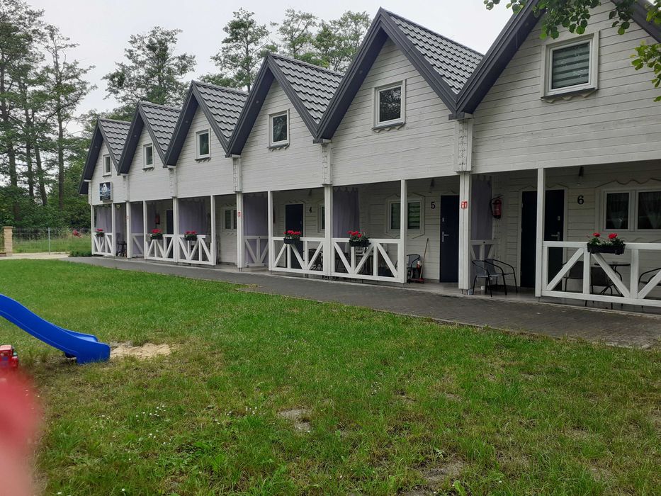 Domki Letniskowe Bielik wynajem