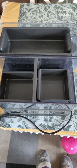 Morphy Richards Intelli Steam parowar