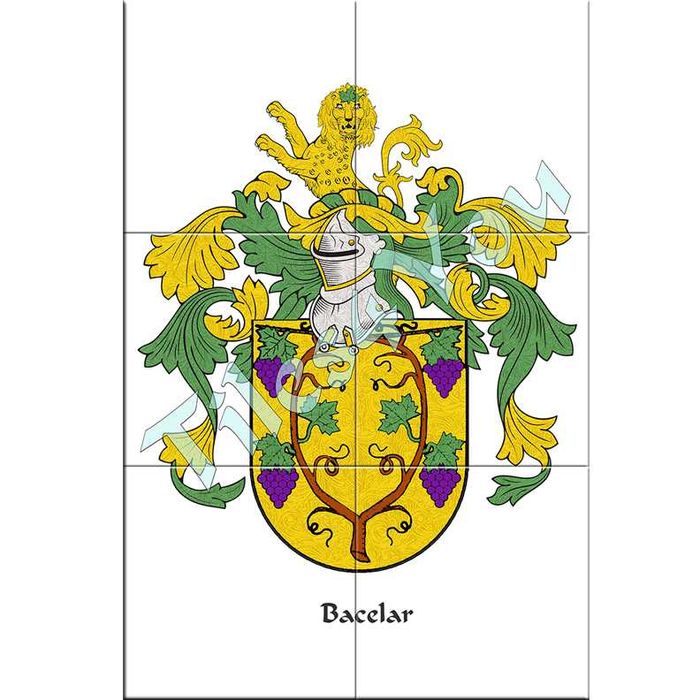 Brasões de Famílias portuguesas.