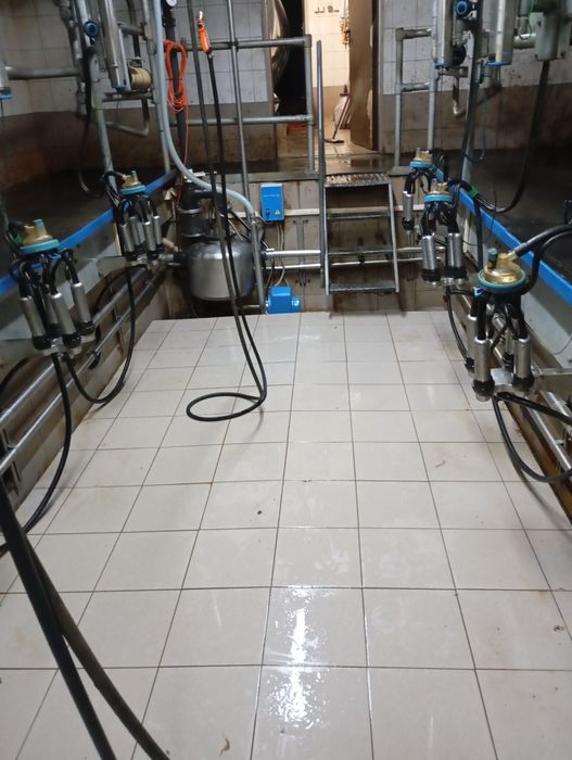 Kompletna hala udojowa 2×5