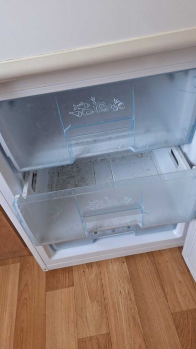 Lodówko-zamrażarka Beko CSA24020, sprawna