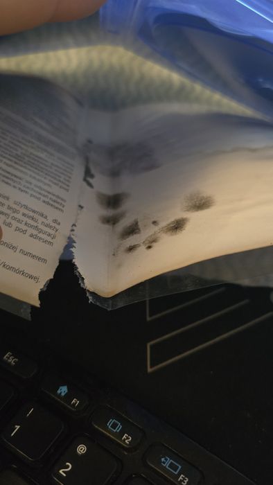 Days gone ps4 polska wersja