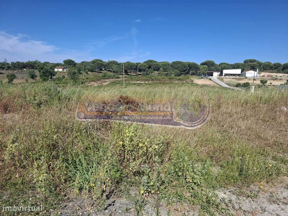 Terreno no Biscainho, Coruche (CRCH165)