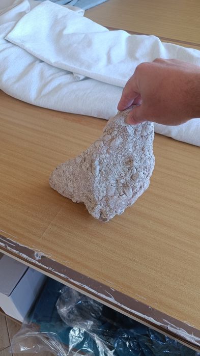 Rocha aquário água salgada