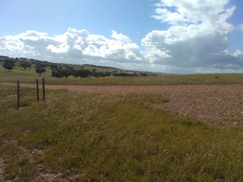 Herdade excelente para venda