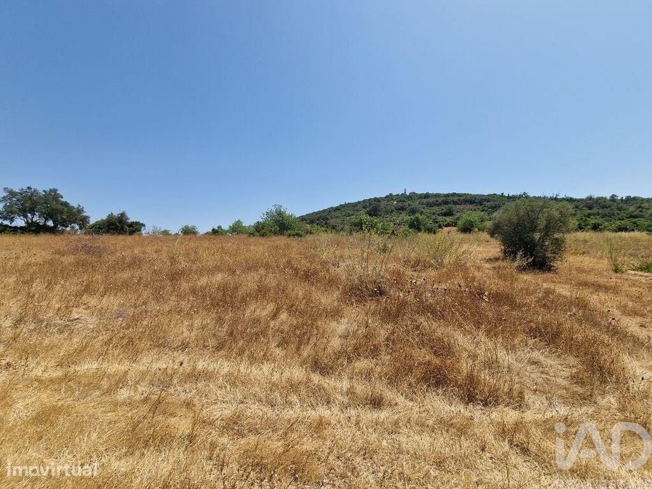 Terreno Agrícola em Santa Bárbara de Nexe