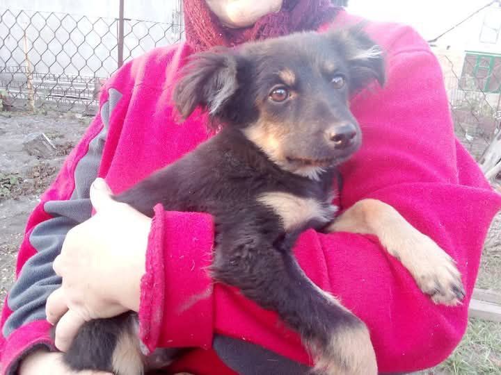 Дівчинка 2,5 місяців Синельникове