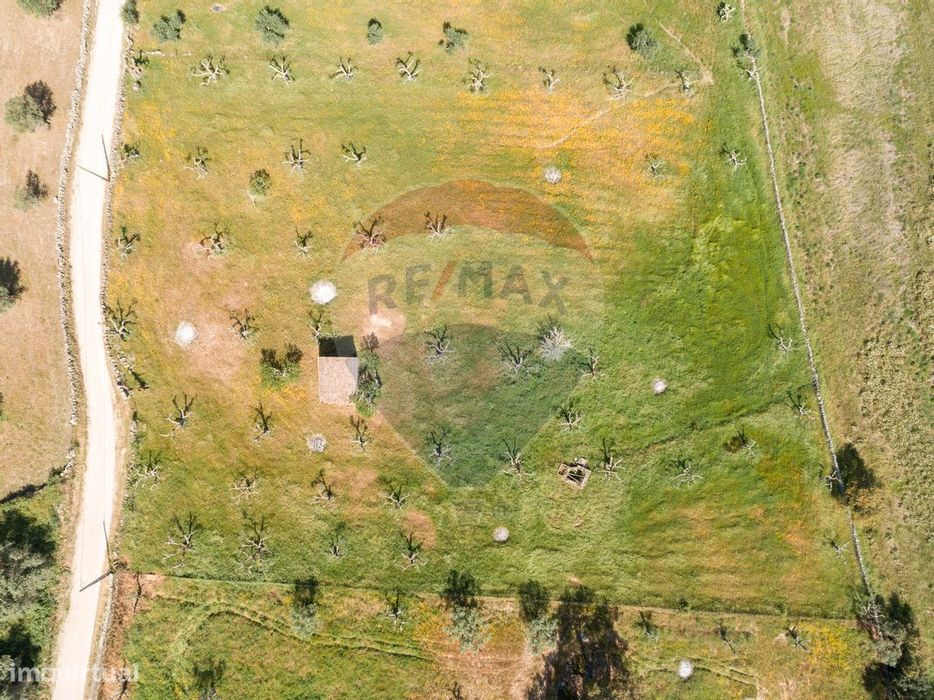 Terreno  para venda — Espírito Santo, Nossa Senhora Da Graça E São Simão, Portalegre