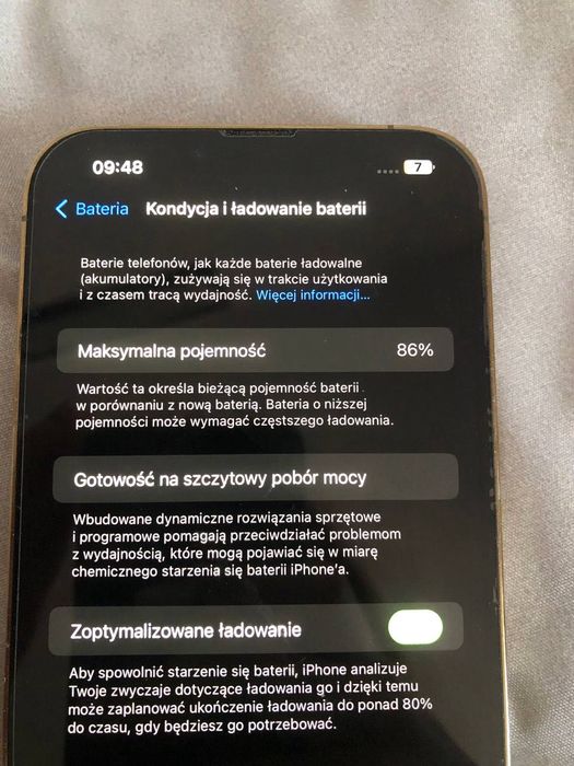 13 pro max (опис)