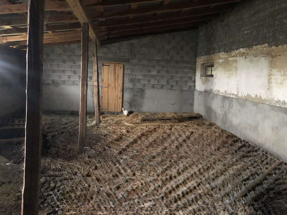 Свиноферма