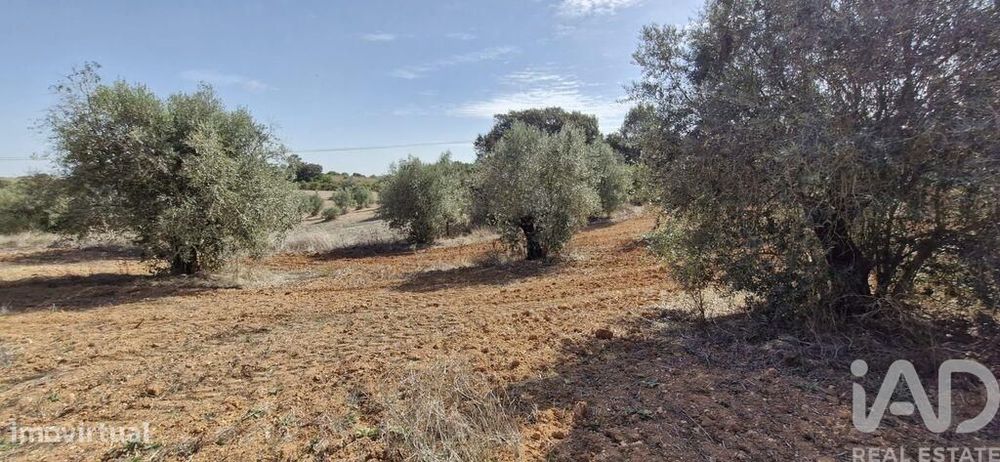 Terreno em Azambujeira e Malaqueijo de 12080,00 m2
