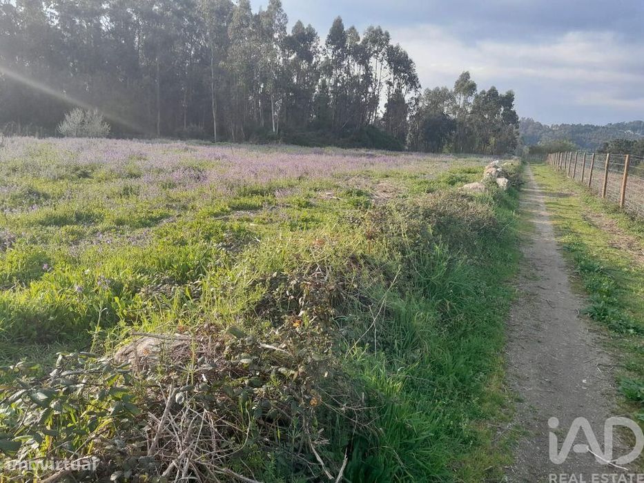 Agricultural Land in Requião