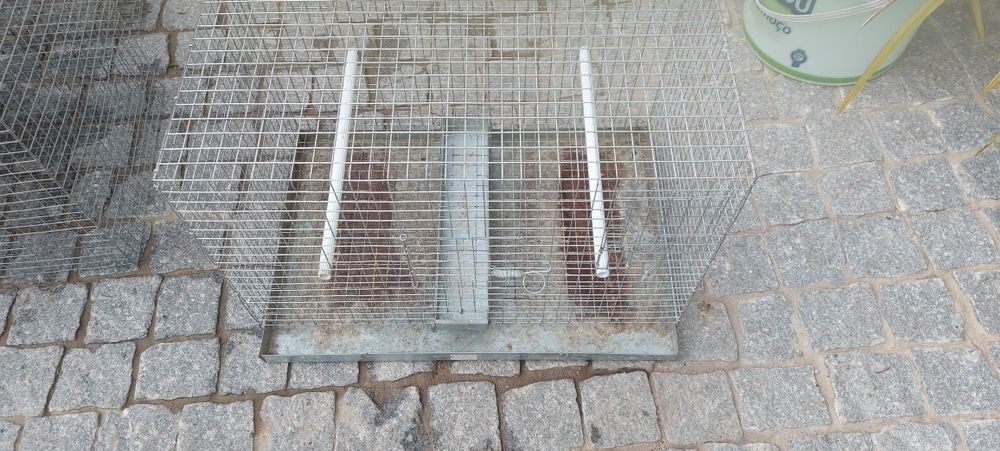 Gaiolas  agapornis e de canarios