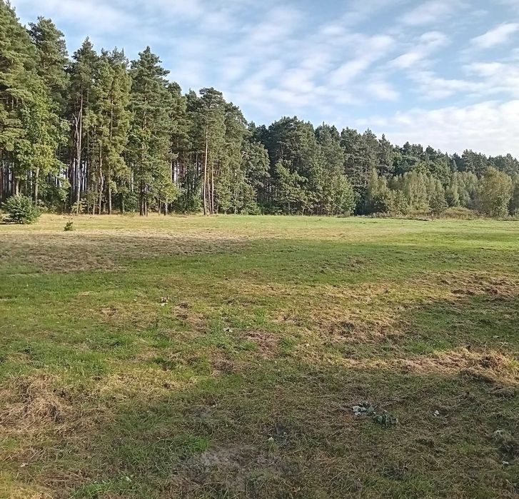 Działki budowlane blisko lasu spokojna okolica
