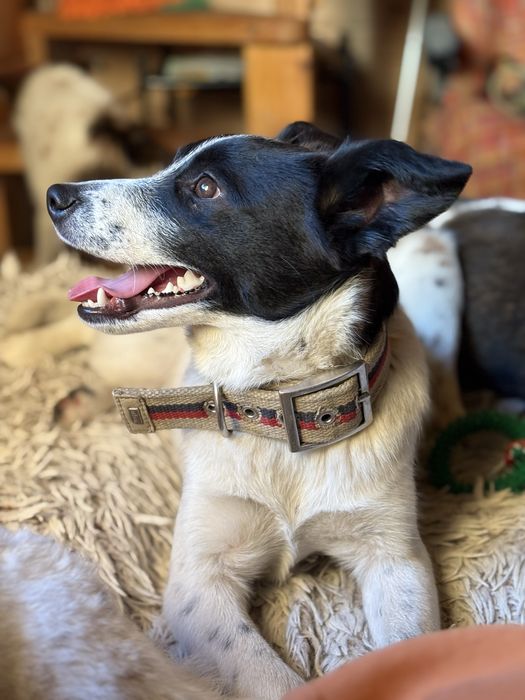 Jacuś, 8-miesięczny bąbel