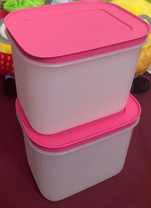 Conjunto 2 Caixas de Congelação 1.1L Tupperware