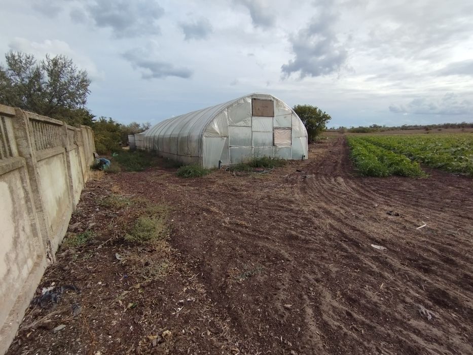 Сдам в аренду землю 6 Га на поливе