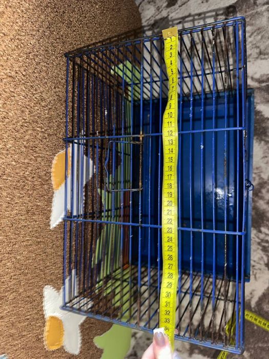 Кліточка для криски морської свинки