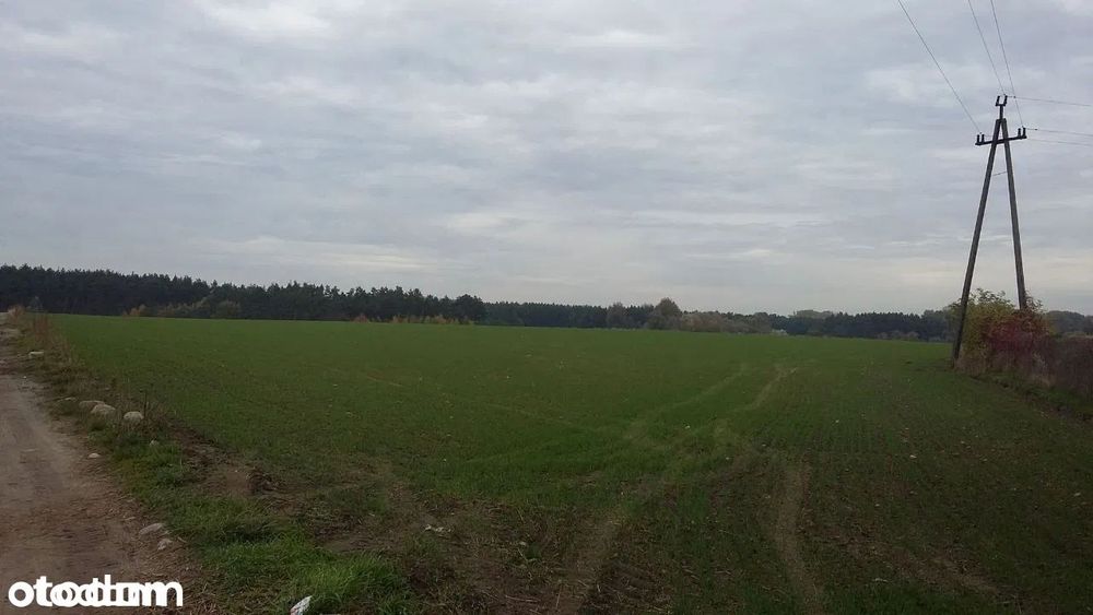 Sprzedam działki z warunkami budowy - Widok 4