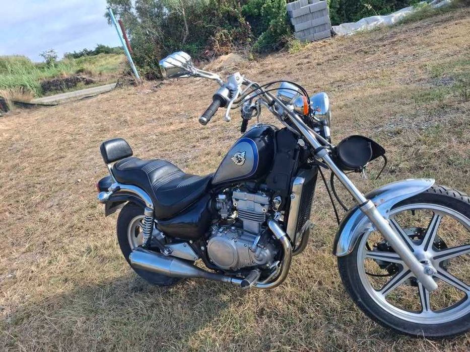 Immaculate EN 500530758503855575041