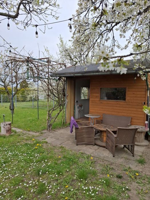 Działka ogród ROD Włókniarz Lubliniec - Widok 4