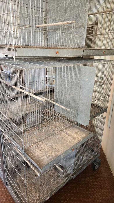 Armaçao em ferro para passaros