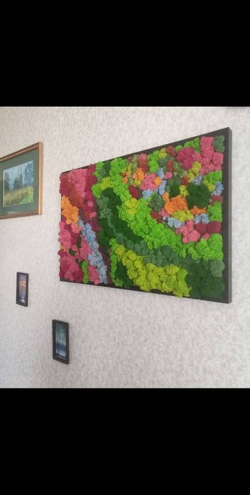 Фитокартина, стабилизированный мох