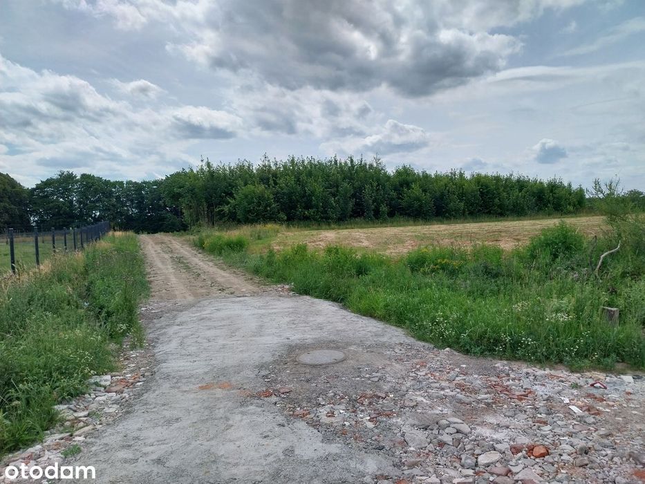 Rezerwacja, Jezioro, Park, WZ bezterminowe, Pełne media - Widok 6