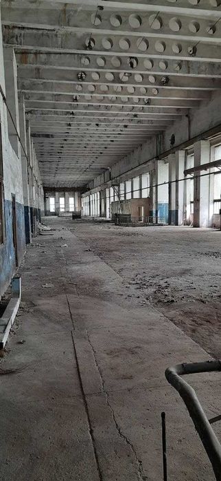 Здам в оренду складські та виробничі приміщення. Поділ.